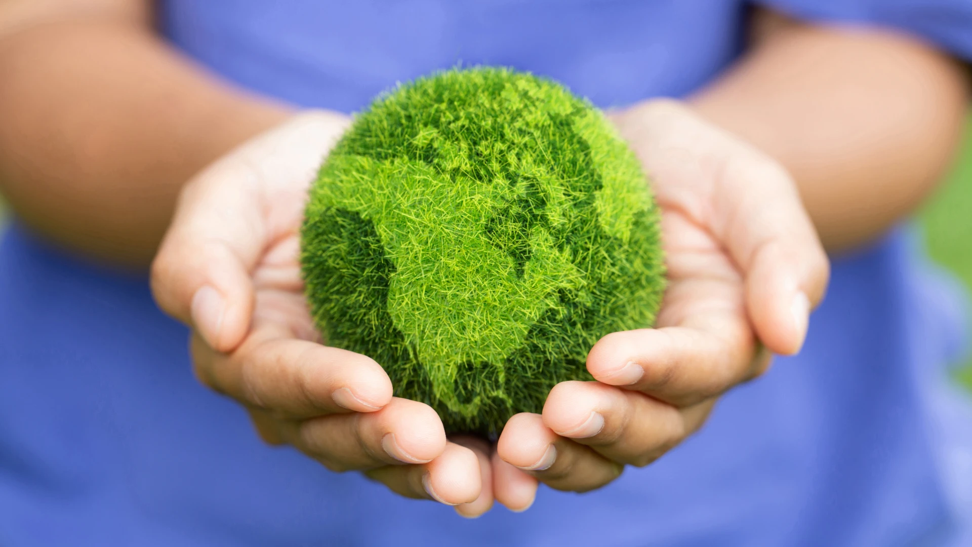 Eco-Friendly cleaning products