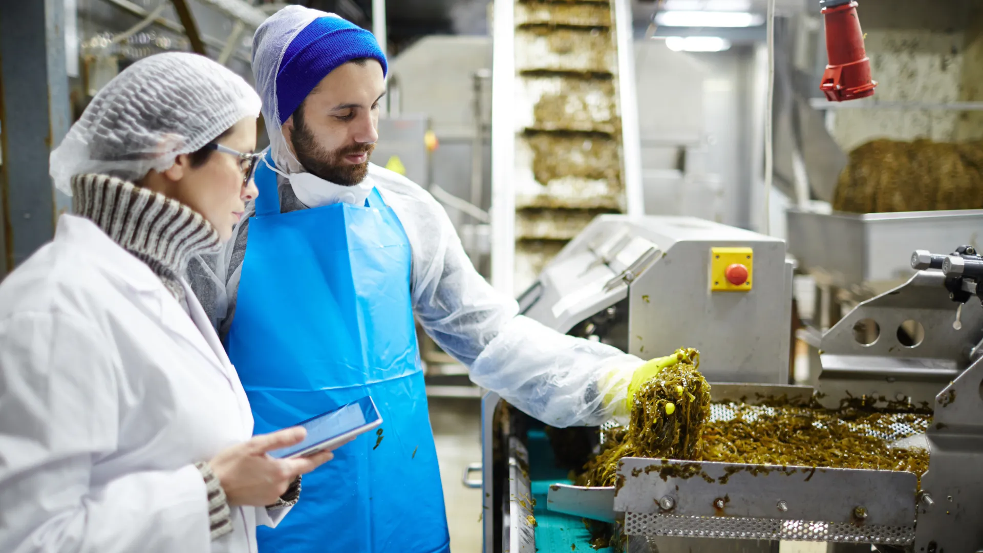 Food Processing Facility Cleaning